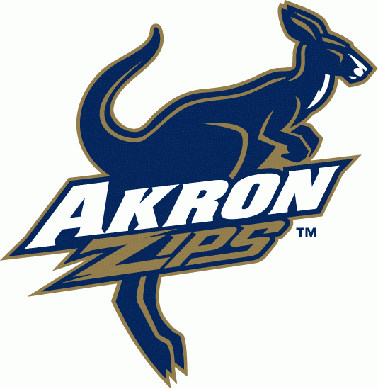 Akron Zips 2002-Pres Alternate Logo v2 diy DTF decal sticker